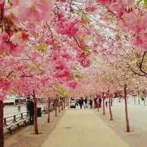 💓嘦姕💔🧚‍♂️🧚