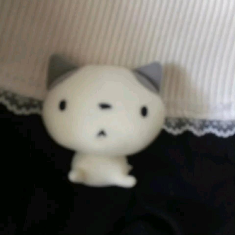 云边没有热带鱼