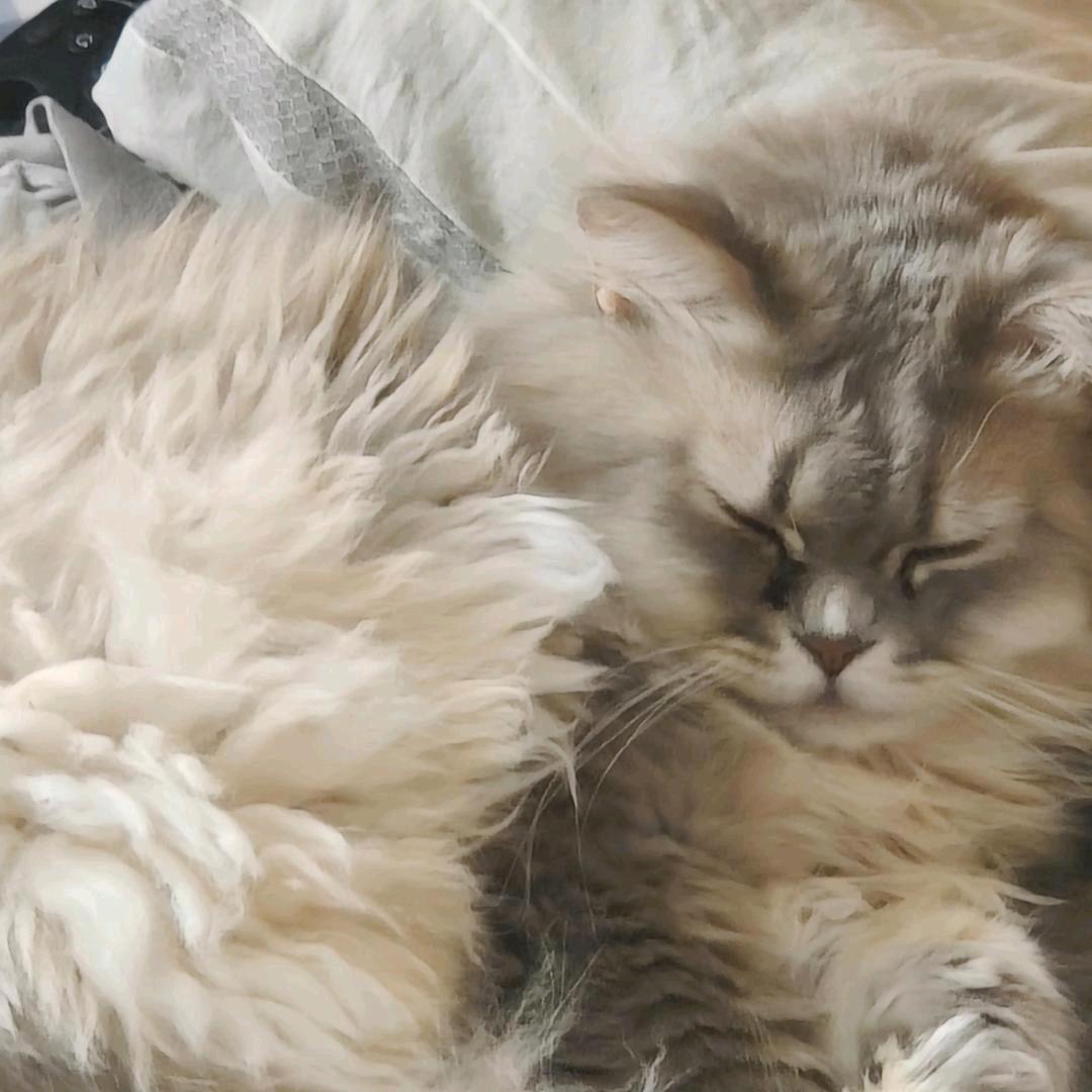 白了个白diy手作