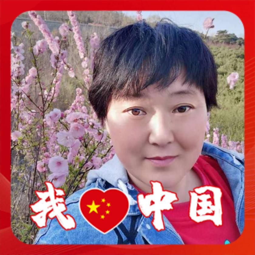 鸽子610