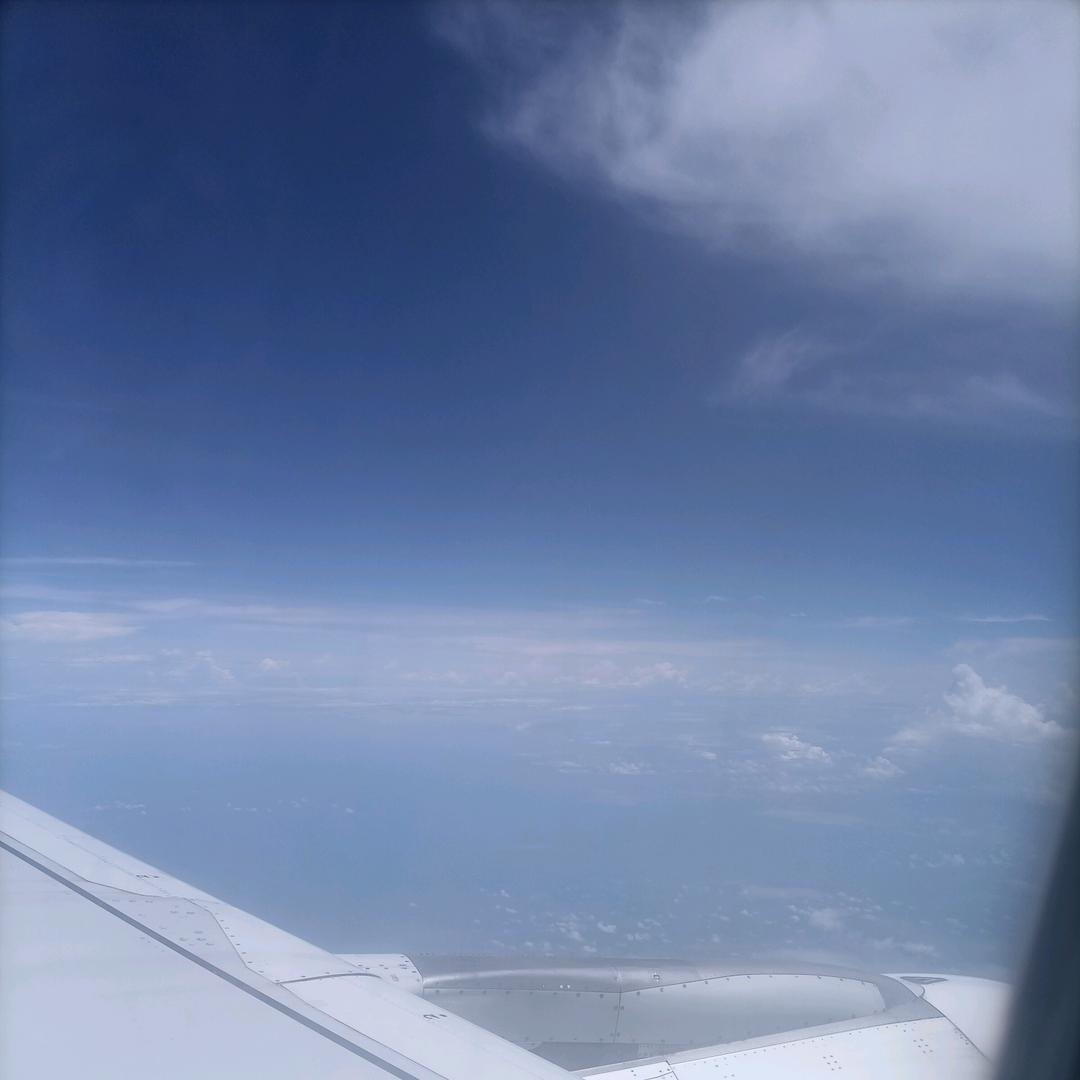 今朝有酒今朝醉_259912368