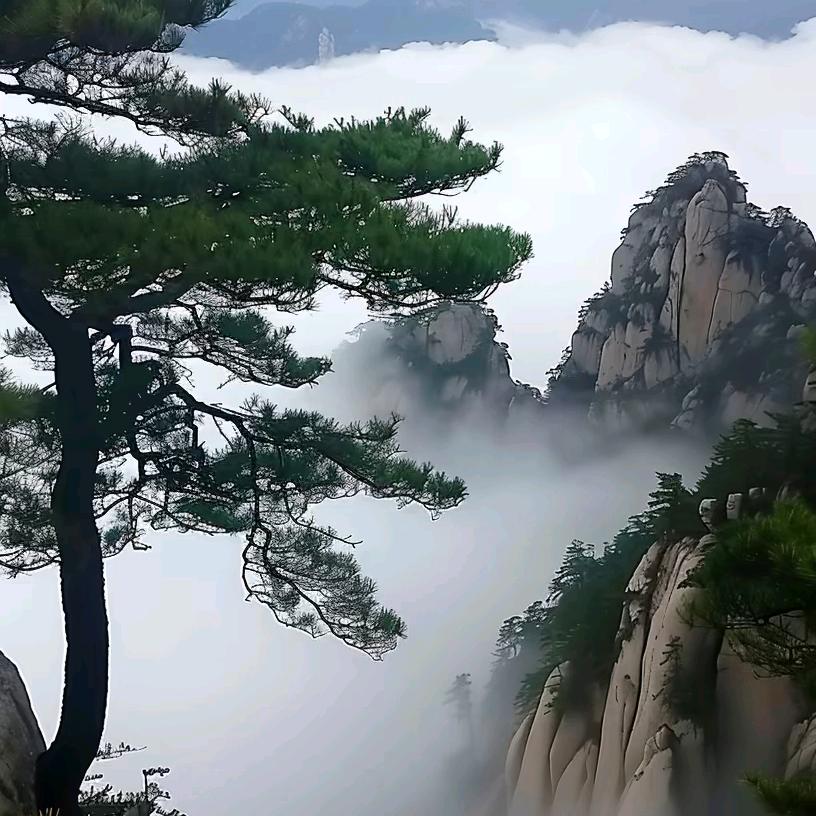 好好珍惜眼前人