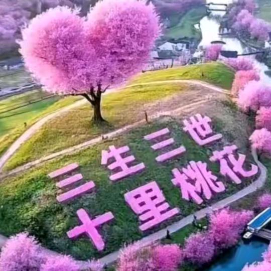 🏡和气生财🏡