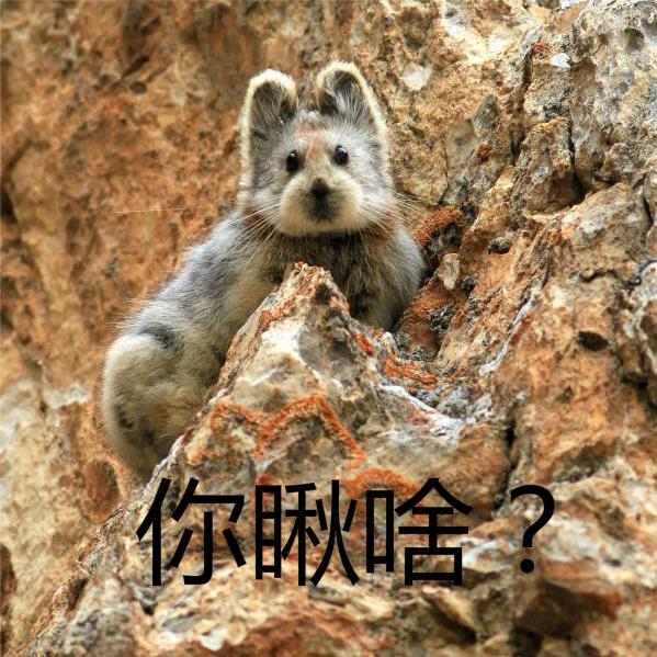 我拉屎嘎嘎通畅