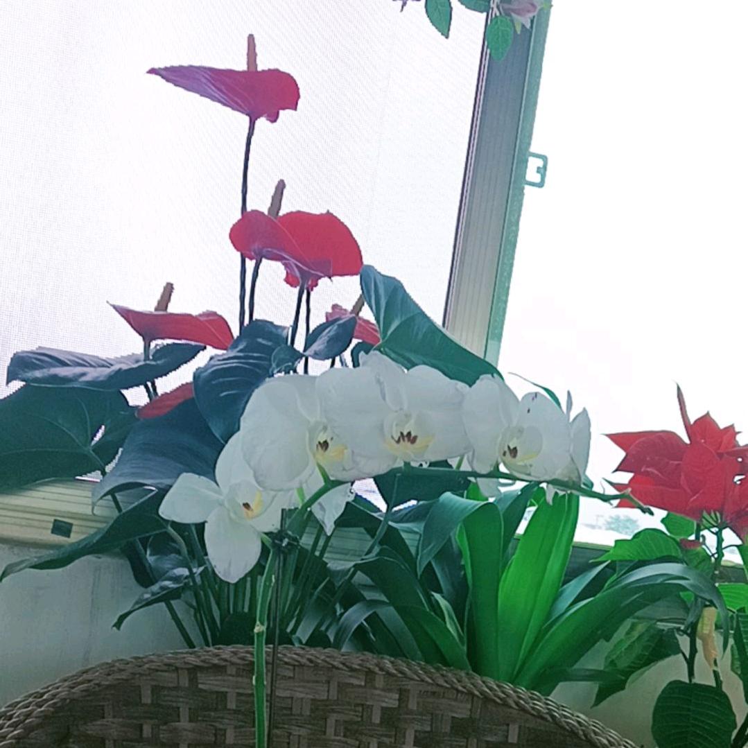 祝福