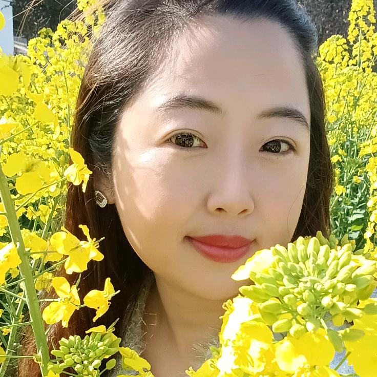 凤凰飞