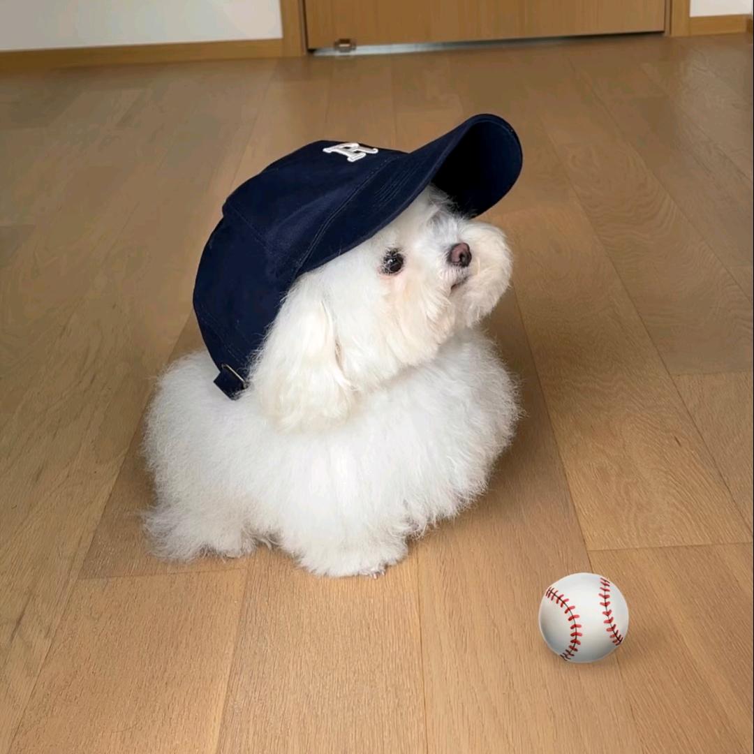李老二🤗