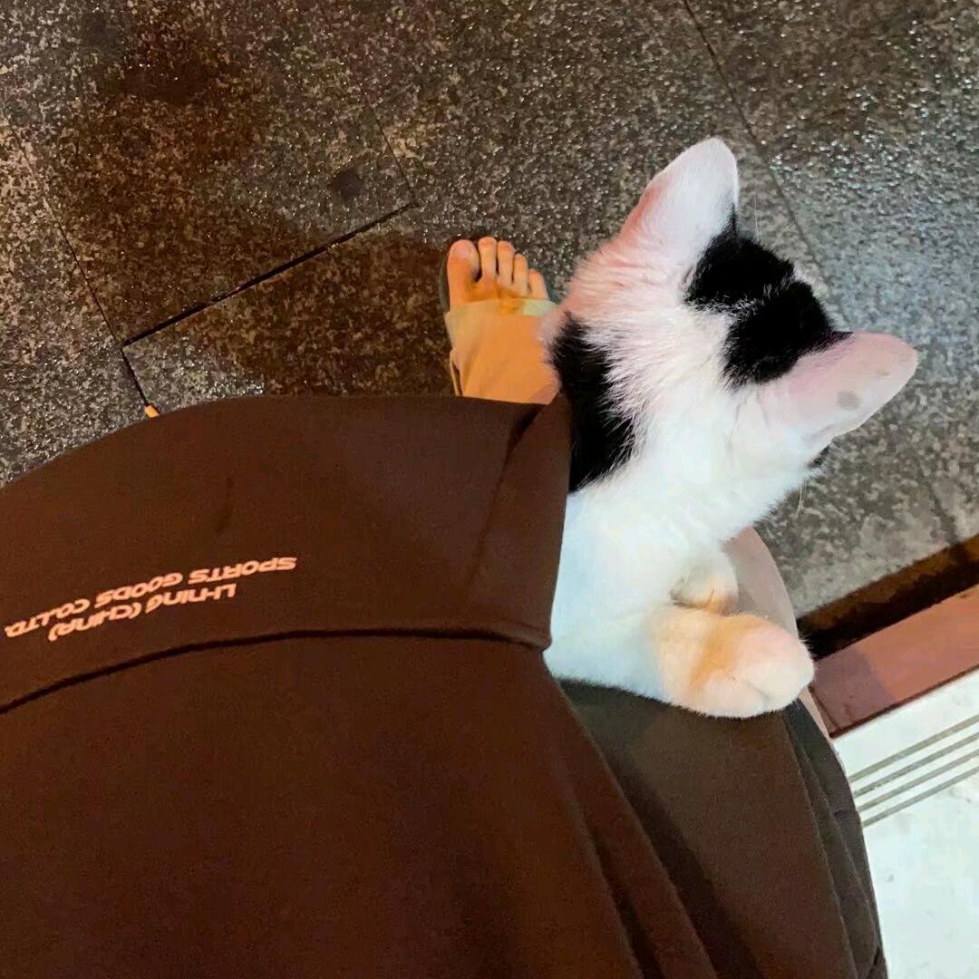 黄昏不尽时