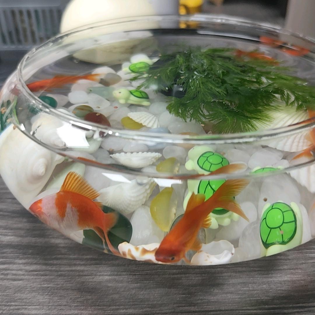 未来，你好