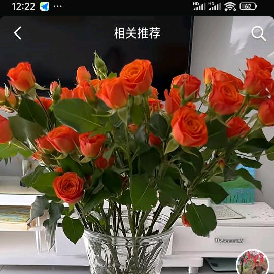 珊珊来了