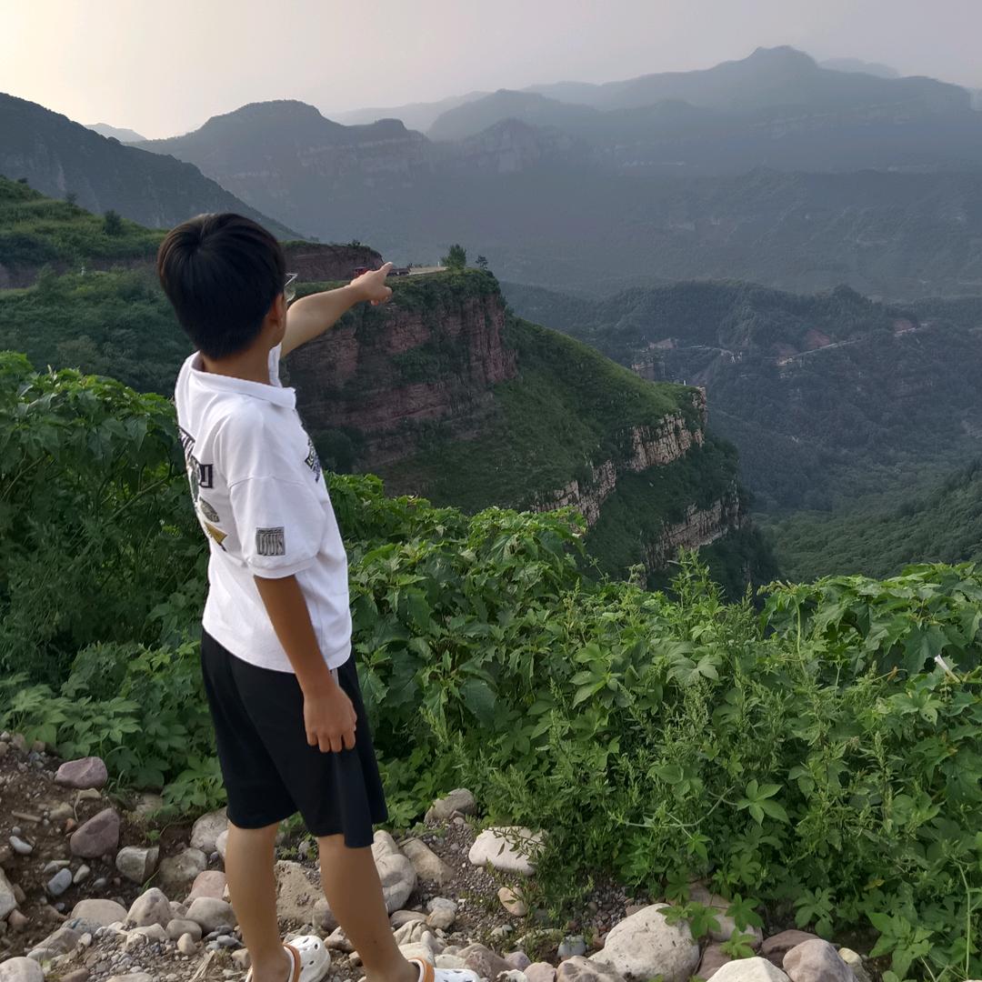杨小羊