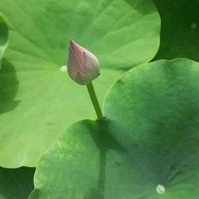 ꦿོ࿐最美遇໌້ᮨ꯭·见ꦿ·᭄࿐