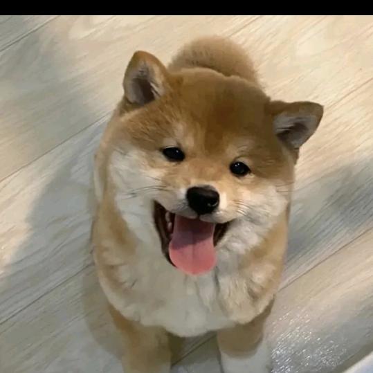 土狗养殖专业户