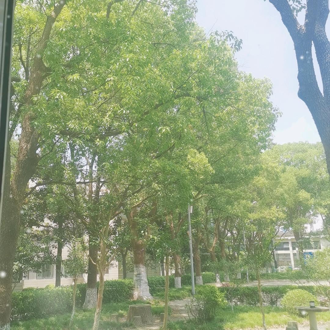 莫