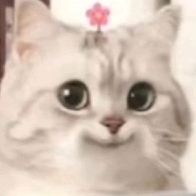 召召