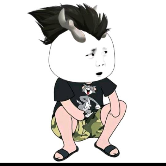 🍂输在╭(认真╰)╮🐂