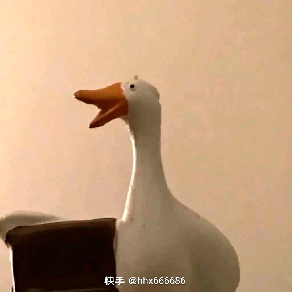 高  🌊