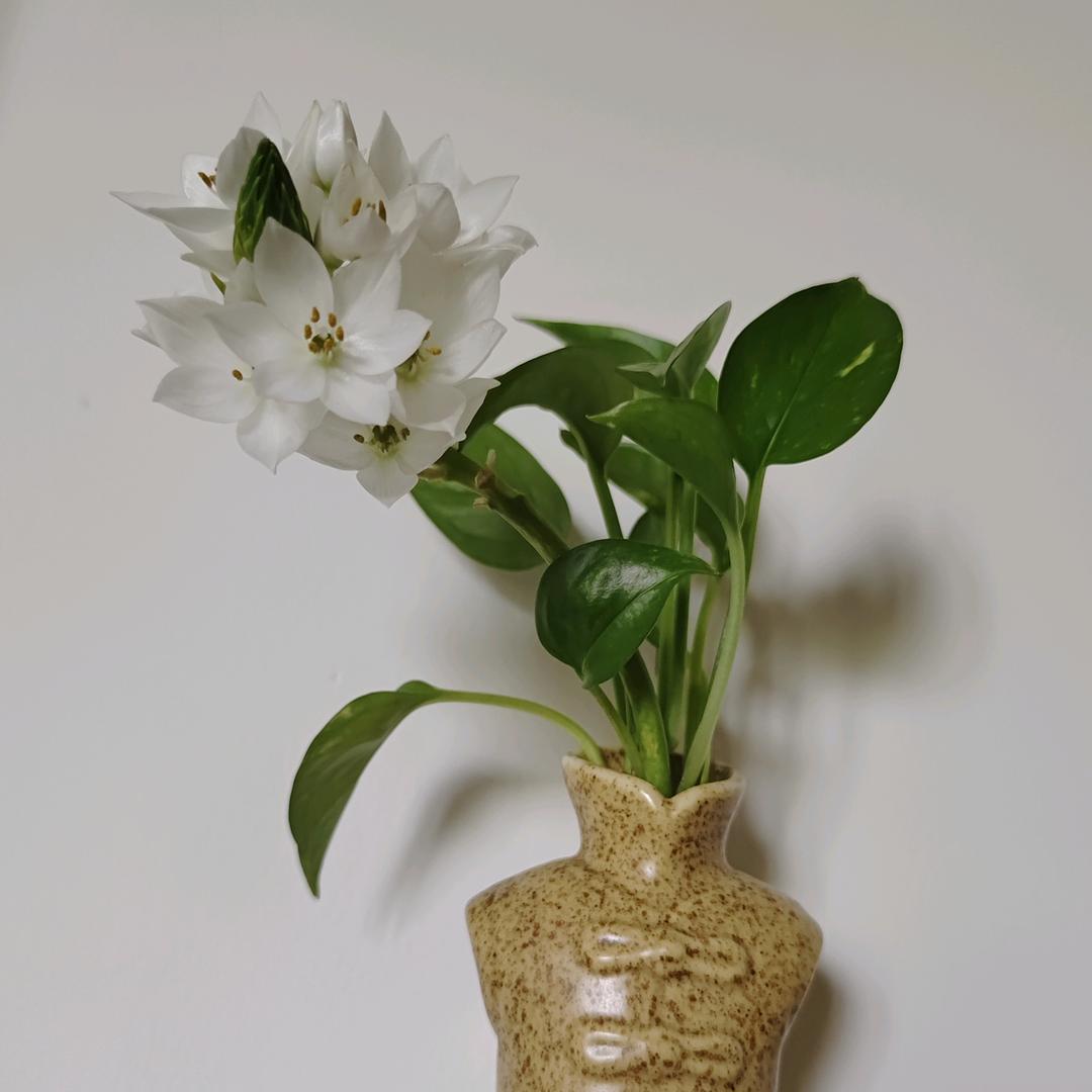 飞燕