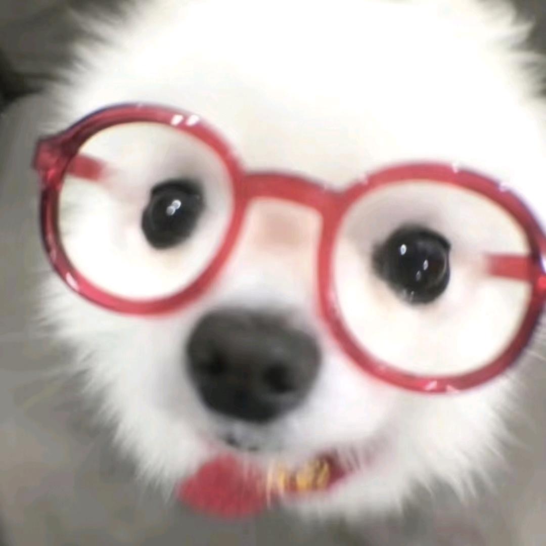 凌晨.