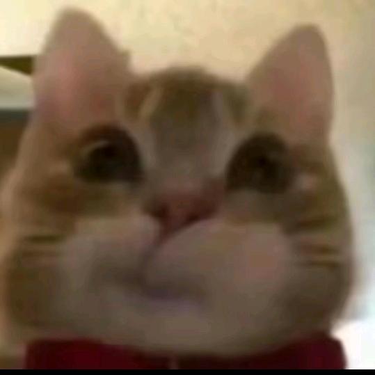 空白