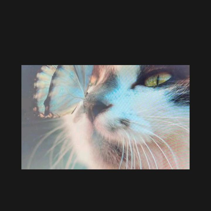 🐠₅₂₀💞鱼儿💘¹³¹⁴