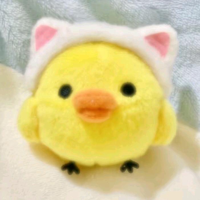 叨叨（juhoon重度依赖版）