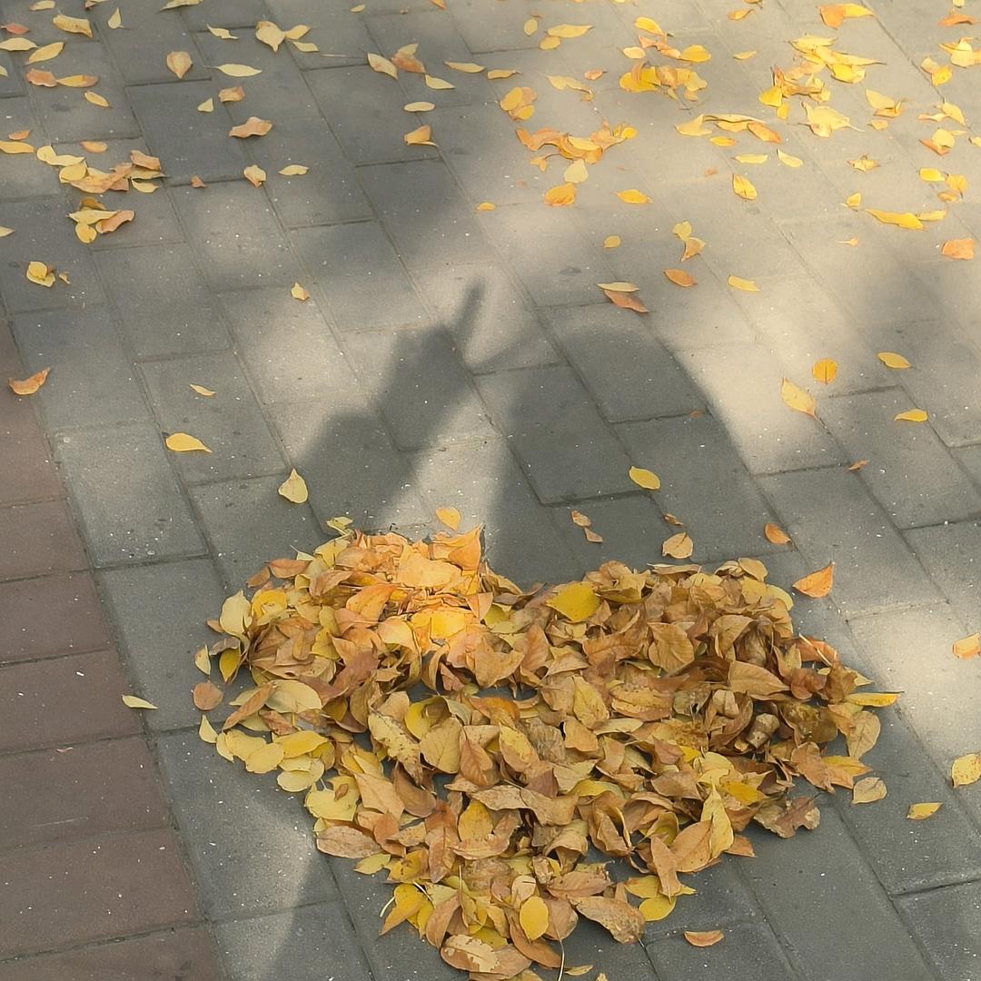 乄䒢(ಡωಡ) 尣