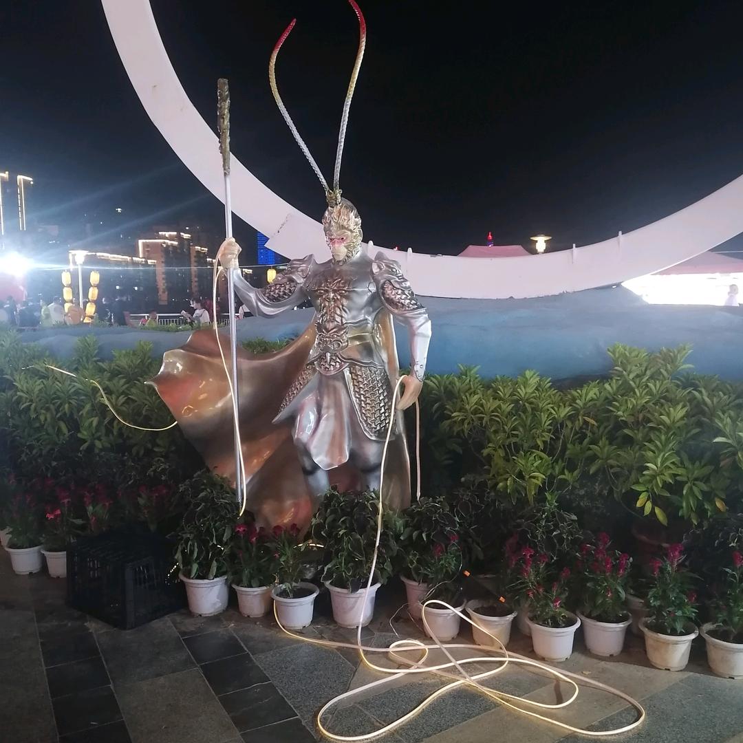 陈龙华