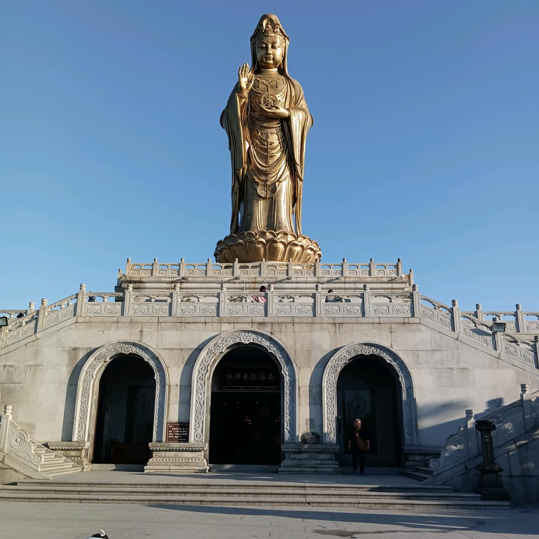 妙音{礼尚往来}不要连赞