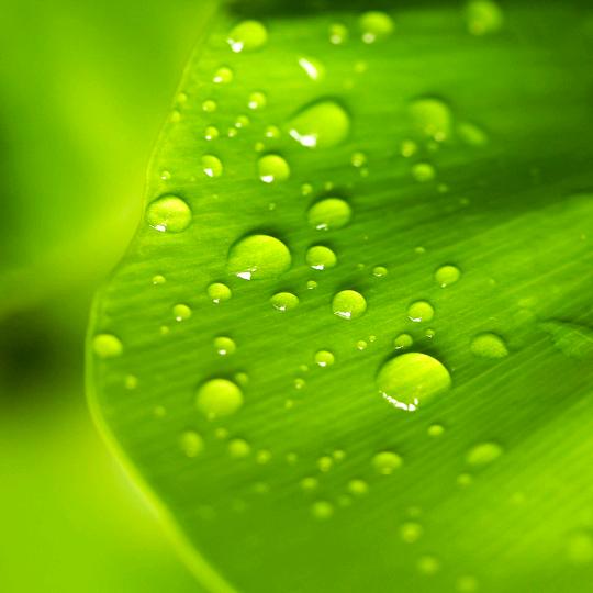 就像温暖的大树