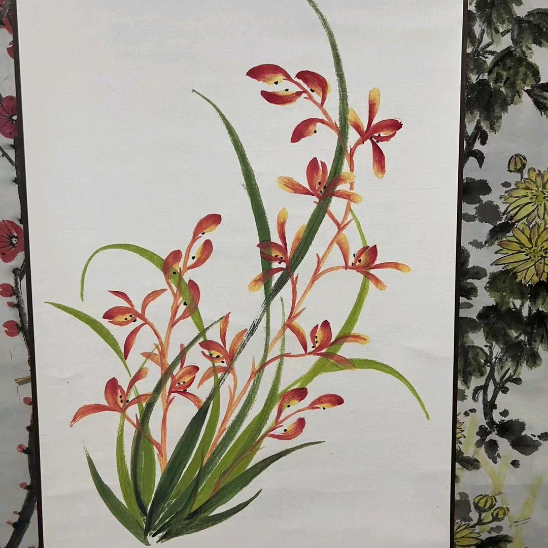 自由飞翔
