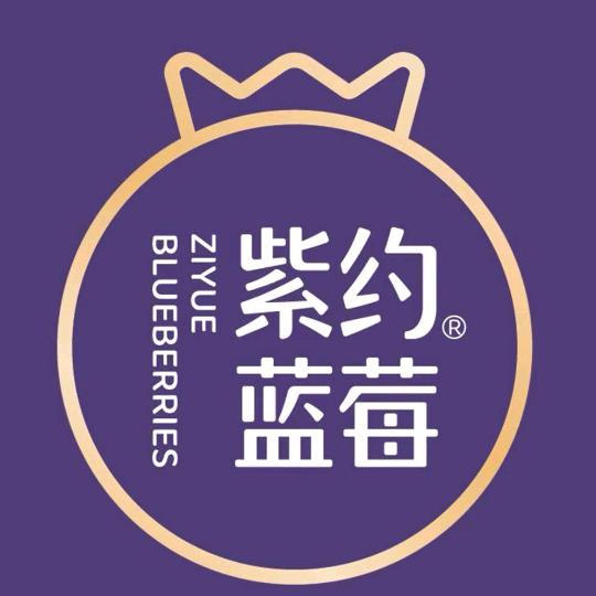 紫约蓝莓鲜果