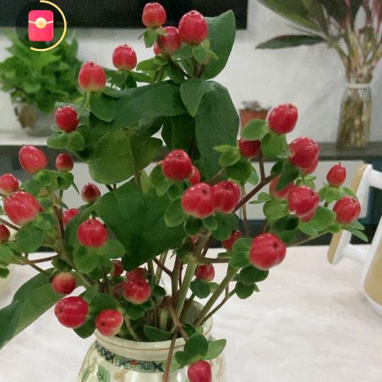 淡然