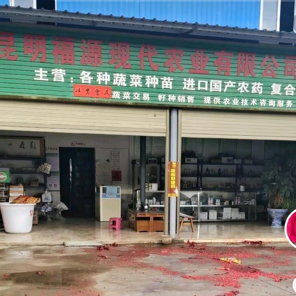 灭鼠神器 视频同款在橱窗下单