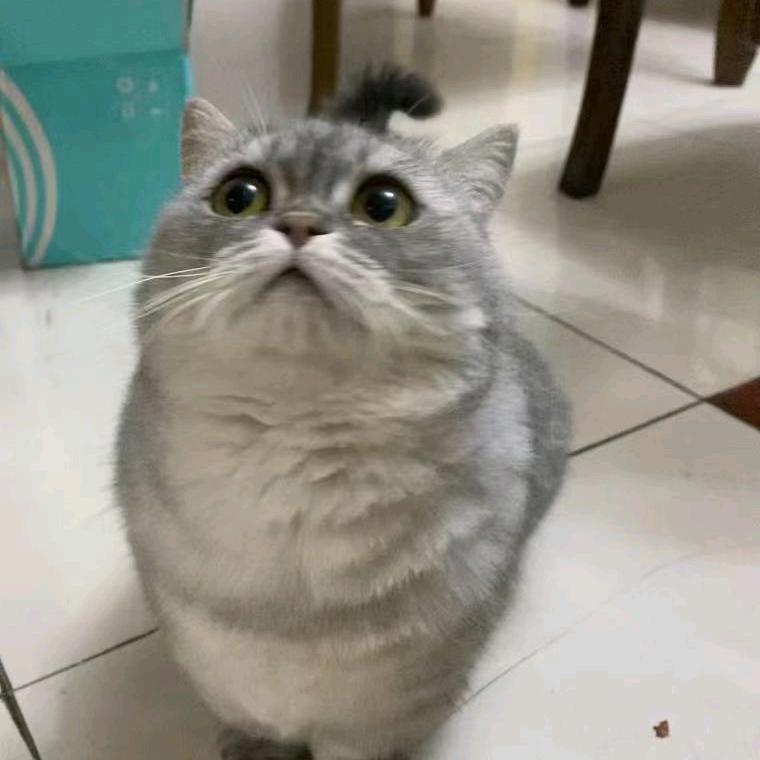 我好困