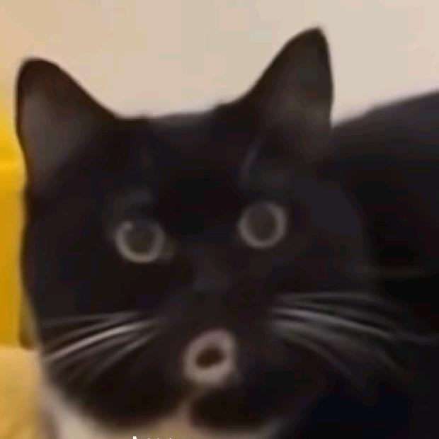 起