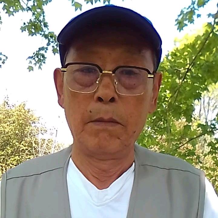 寻找化砂草