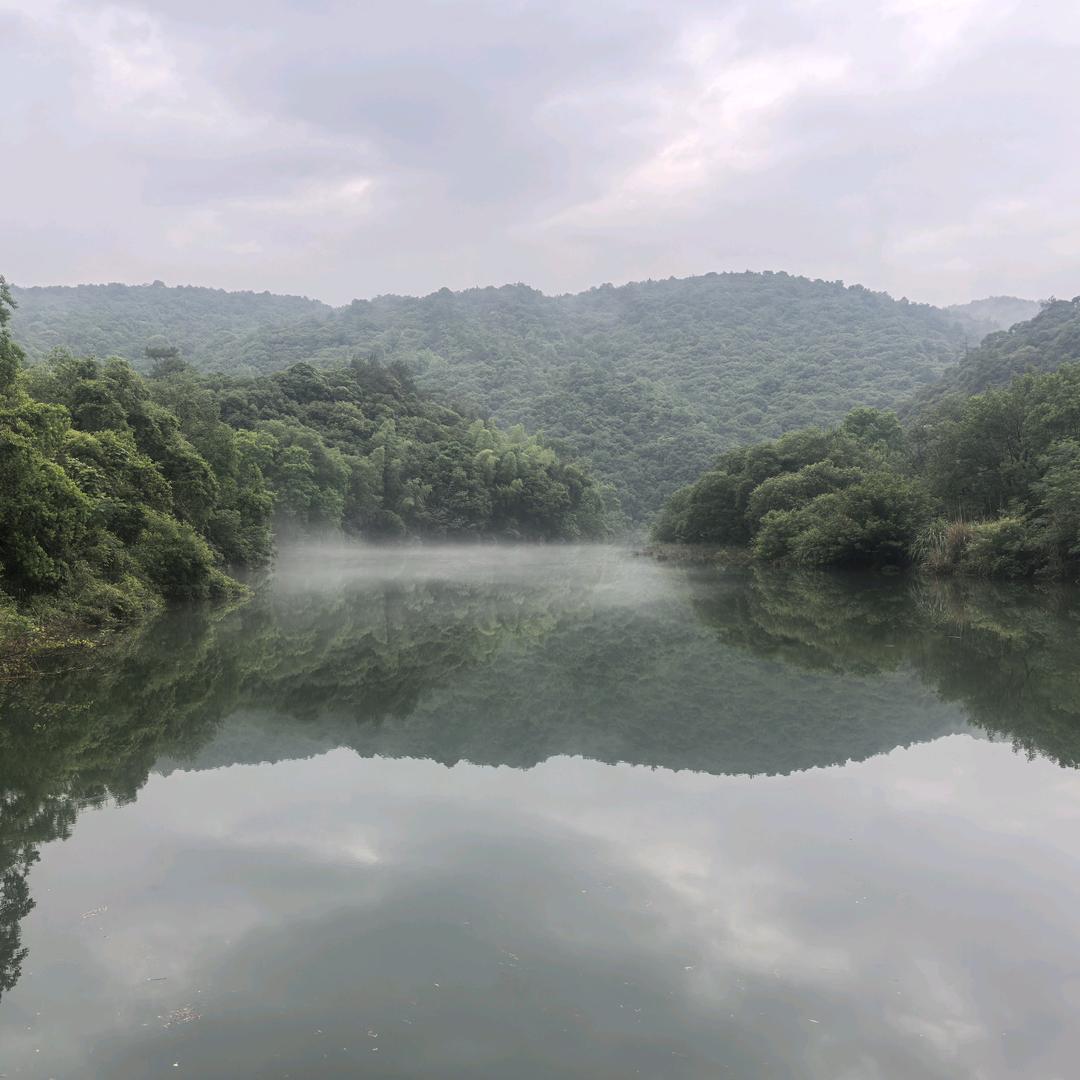 霁心书栈