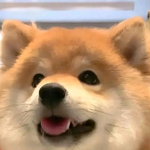 春