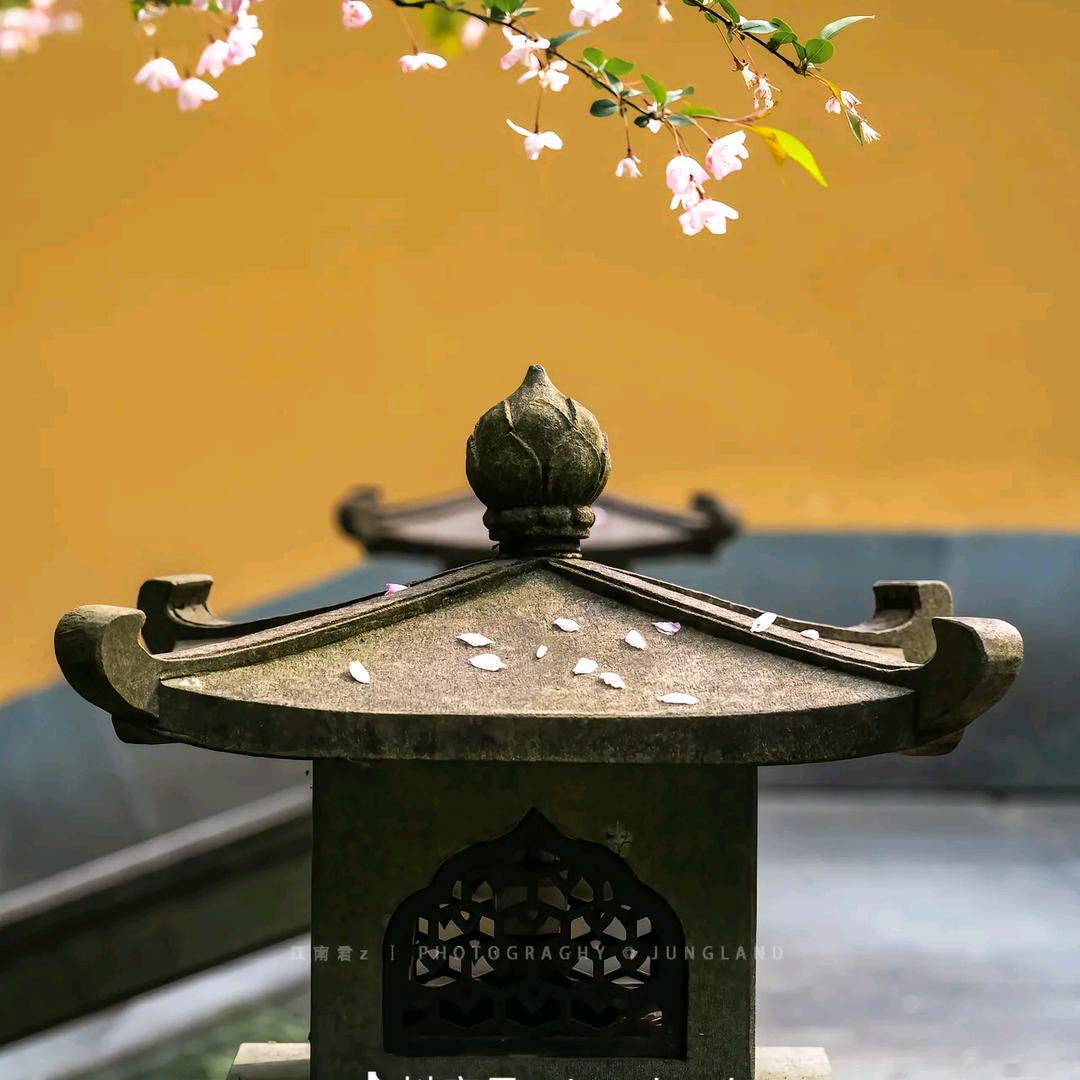 打金阿国