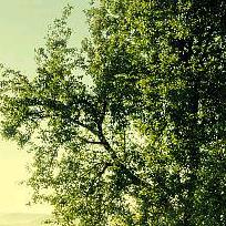 通道辛苦咯谢谢