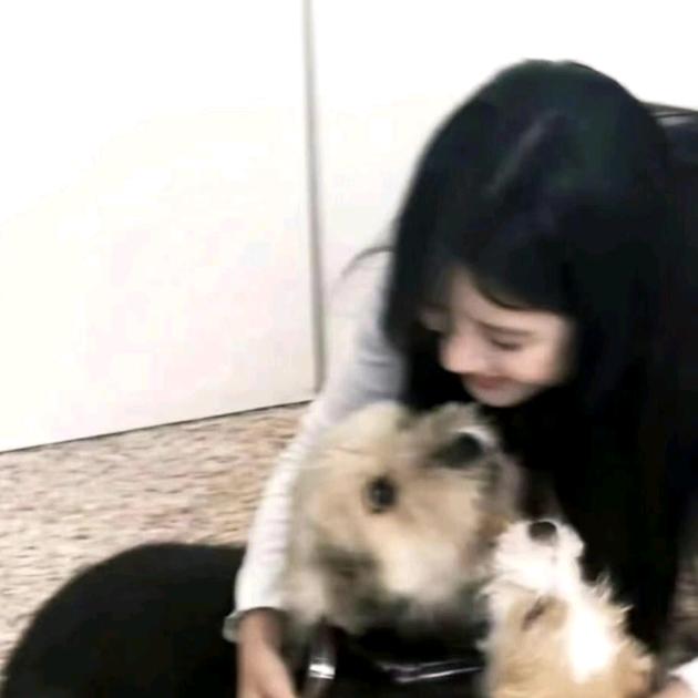 躺在桥头晒太阳