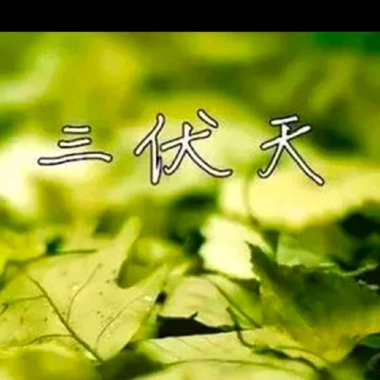 三伏