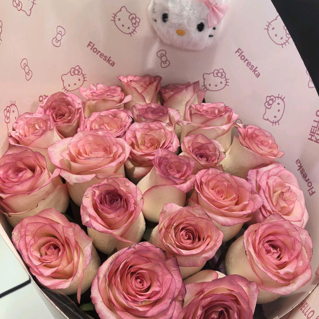 断了腿的大脸猫🥰