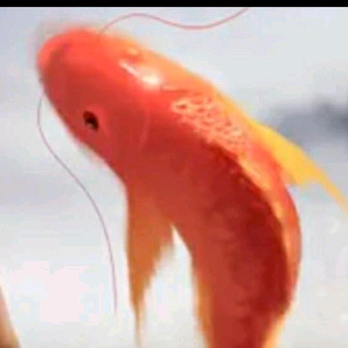 相遇是缘666