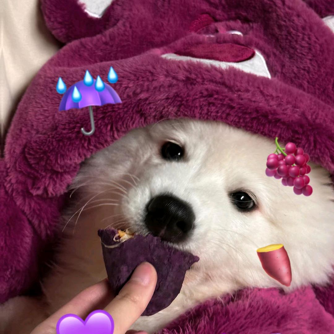 G小瑶9