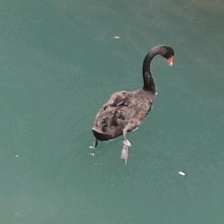 一笑而过