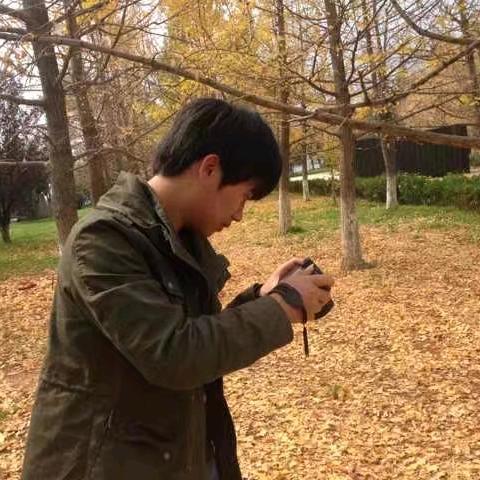 听风🎶🌳📷