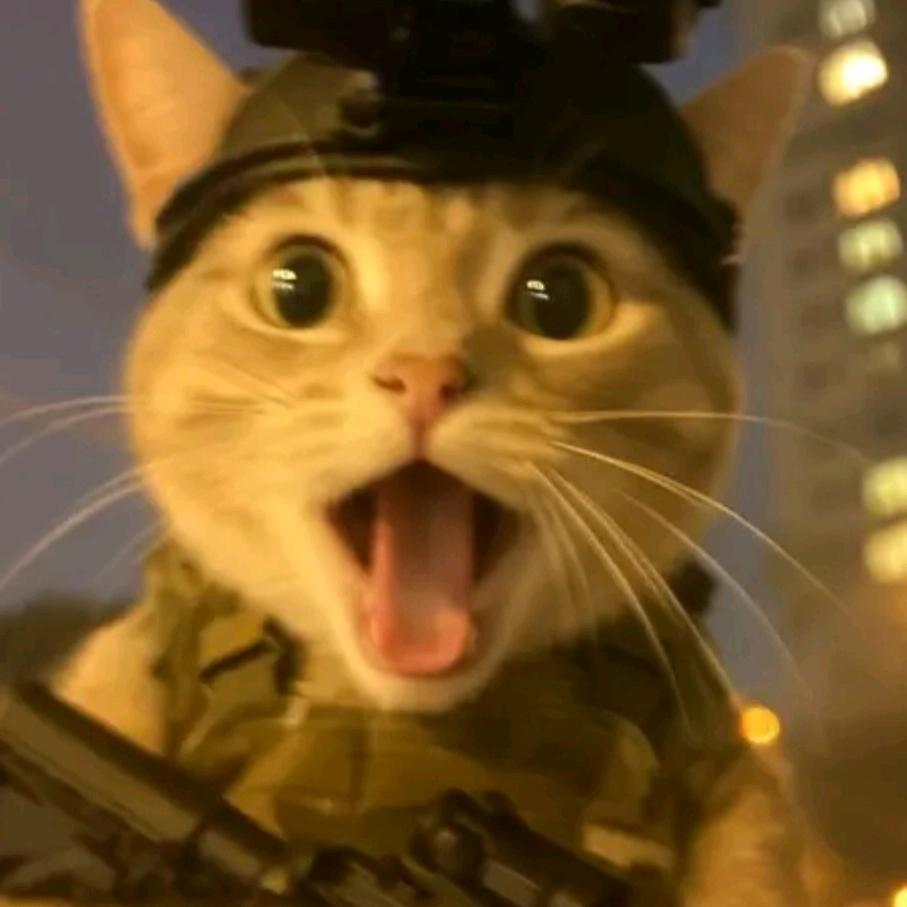 指示