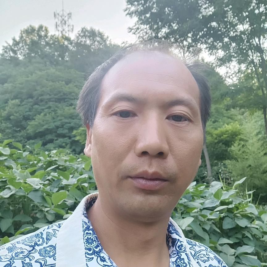 一叶知秋